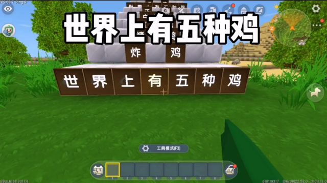 迷你世界:世界上有五种鸡,你都知道是什么鸡吗?