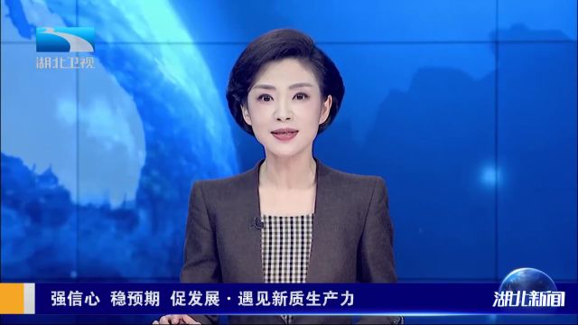 扩容量 重培育 湖北织密算力与大数据服务一张网