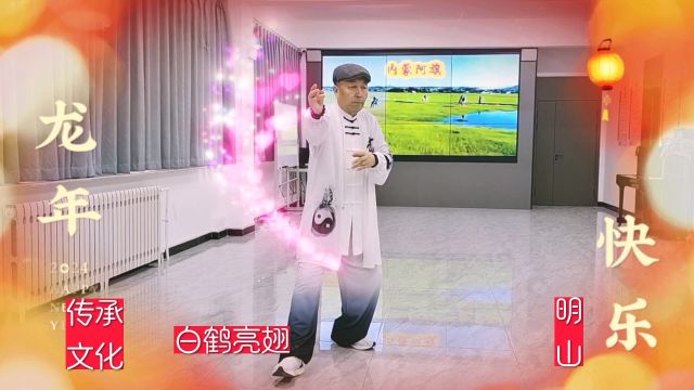 传统杨式太极拳白鹤亮翅