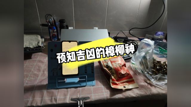 民间故事:预知吉凶的樟柳神