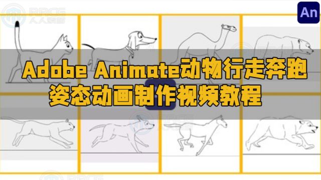 Adobe Animate动物行走奔跑姿态动画制作视频教程 RRCG