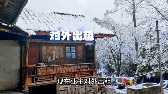 青城山半山腰农家小院出租