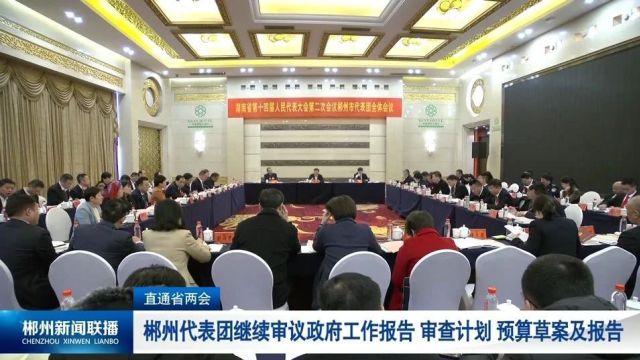 直通省两会:郴州代表团继续审议政府工作报告 审查计划、预算草案及报告