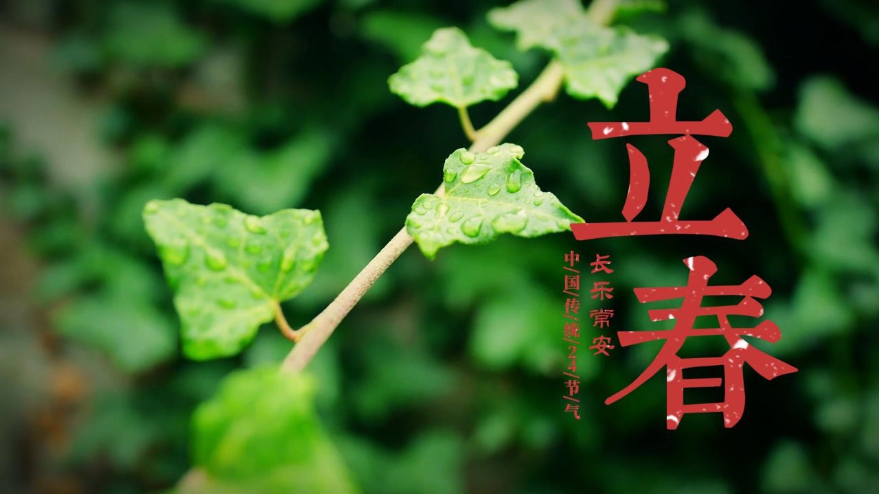 【二十四节气】立春,春回大地,万物复苏,鸟语花香,生机勃发!
