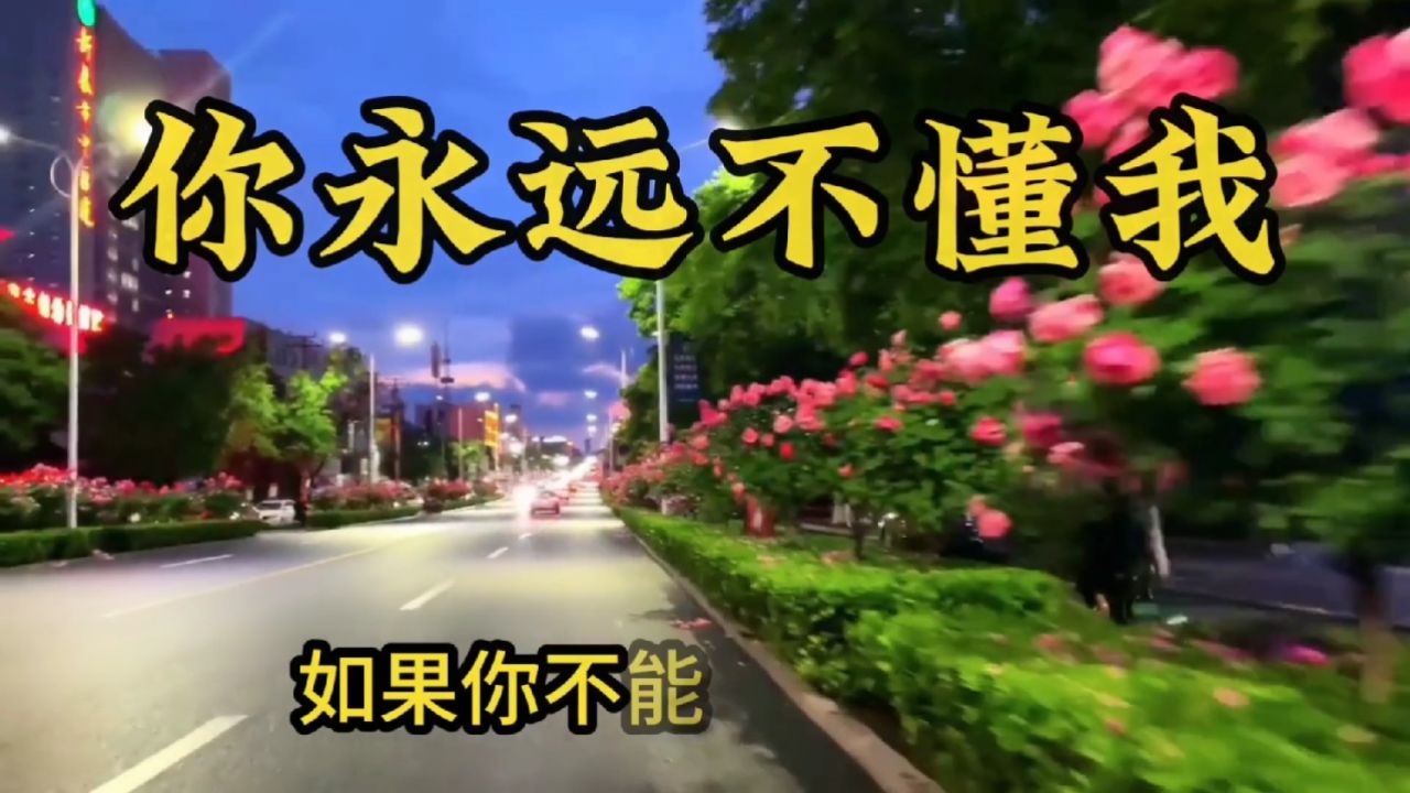 雨中百合《你永远不懂我》歌曲原唱伤感情歌