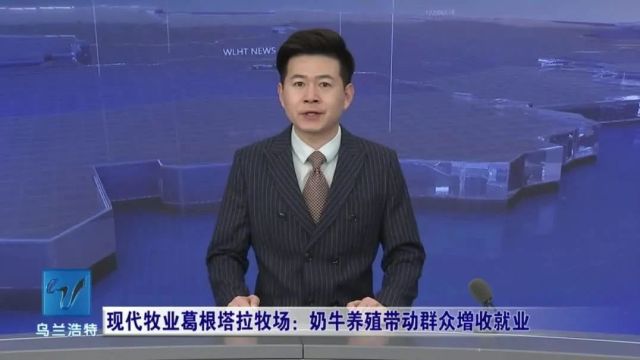 微视界|现代牧业葛根塔拉牧场:奶牛养殖带动群众增收就业