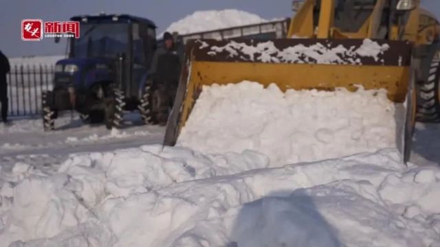 “北雪南运”来啦!@南方朋友们 打雪仗约起!