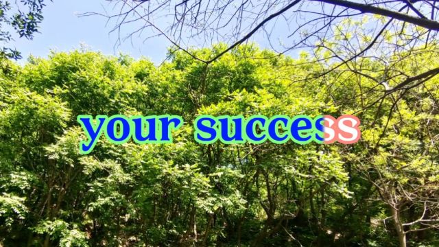 your success(你的成功)