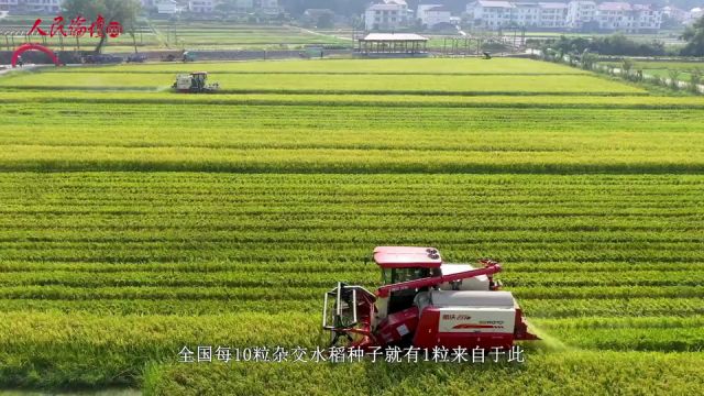 【大国新村:沿着总书记的足迹】微视频 | 福建建宁:美丽乡村全域绽放