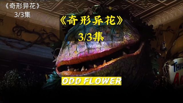 奇形异花 Odd flower 第三集