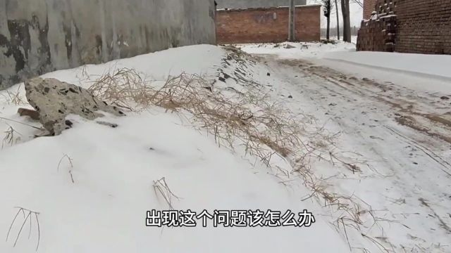 河南暴雪出大事了,5天损失300多万,惨痛的教训,结局谁买单