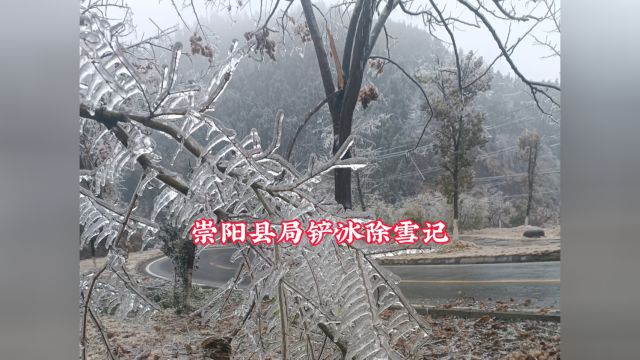 冬日里的暖阳崇阳县局(营销部)铲冰除雪记