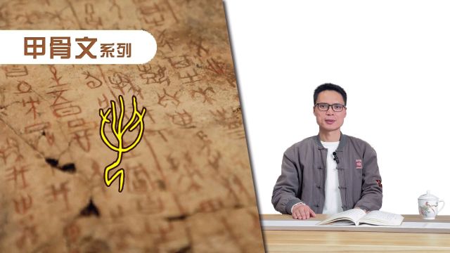 “若”字的故事