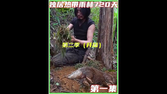 荒野求生,重启求生之旅的先前准备,再次回到从前搭建的荒野农庄1