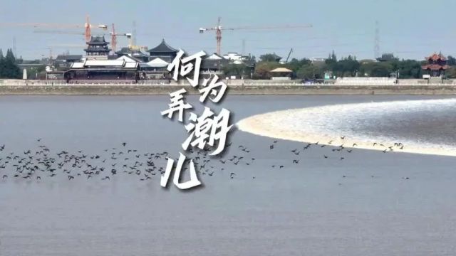 海宁市教育局最新发布!时间、地点明确了!