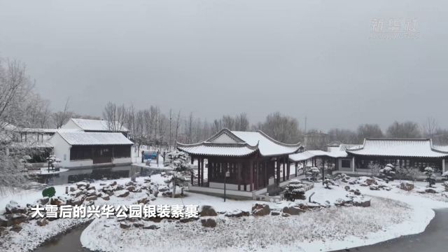 千城胜景丨河北藁城:雪后兴华公园 水墨画中游