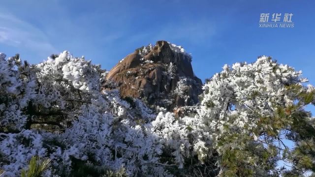 九华山:雾凇美景宛如仙境