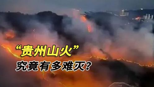 贵州山火终于灭了！这场山火有多严重？引起的连锁反应有多大？