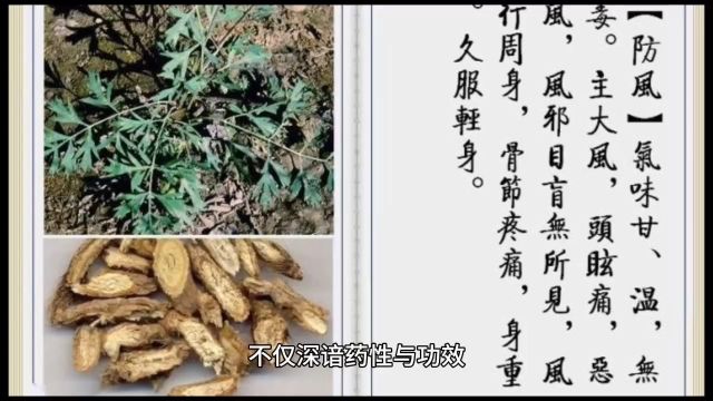 国医吴咸中老先生生平事迹4