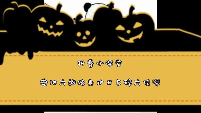 电池片的护卫和侦探