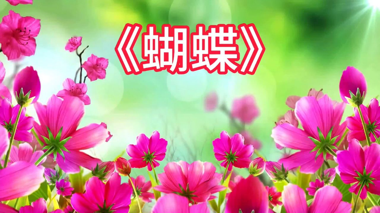 蝴蝶羽翼飞,领略自由之美.飘舞花间梦,触动心弦情.