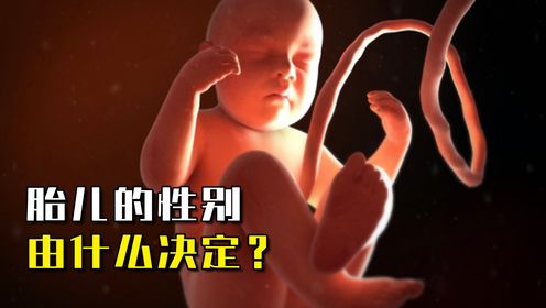 胎儿的性别由爸爸决定，还是由妈妈决定？转胎丸真的有用吗？