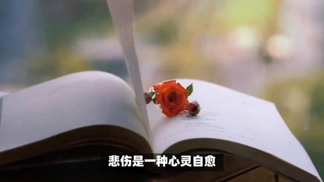 悲伤是一种心灵自愈