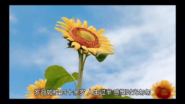 岁月如梭,四十余岁,人生过半,感慨时光匆匆.回首过往,有欢笑、泪水、叛逆、挑战,年少轻狂时无知地选择,成熟后承受后果,用青春换教