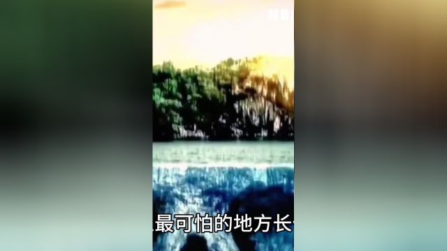 为什么男生更适合穿裙子内容过于真实涨知识省流知识