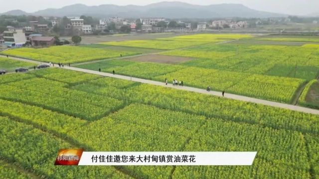 付佳佳邀您来大村甸镇赏油菜花