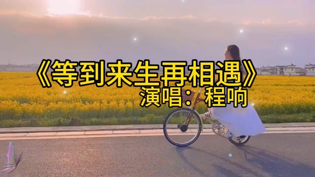 《等到来生再相遇》程响演唱版本歌曲,好听醉了,唱的太伤感,好悲伤的歌