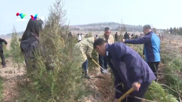 义务植树增绿 共建绿美家园