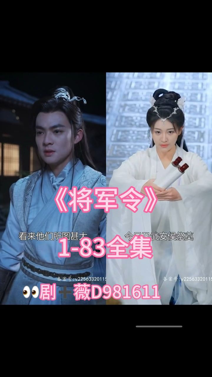 《将军令》1-83全集