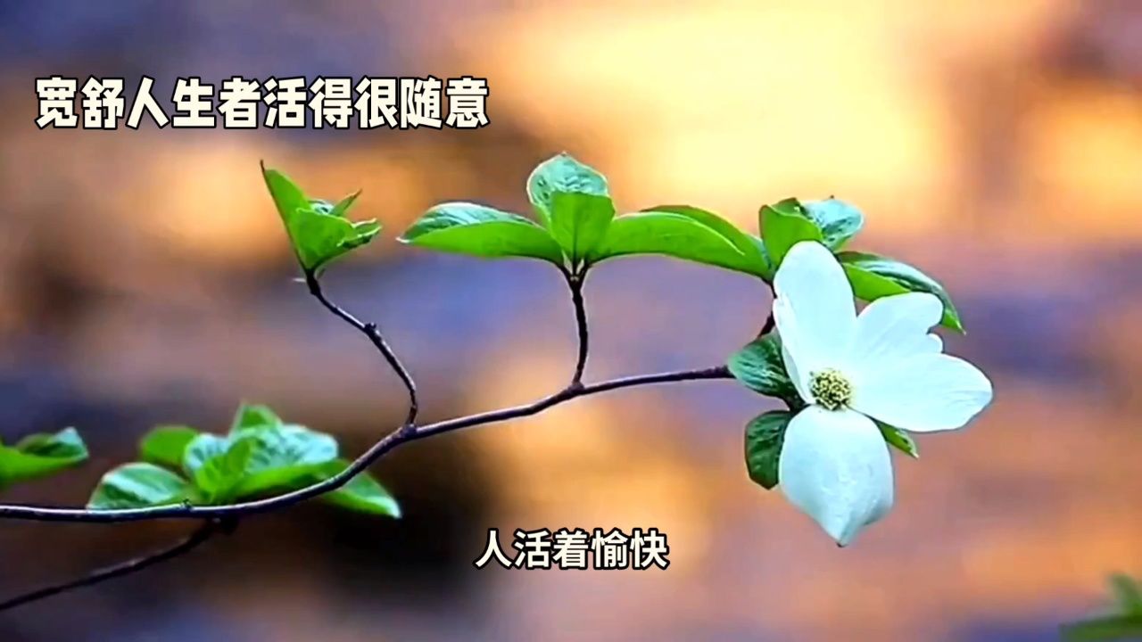 心胸豁达,生活自在:如何拥有宽舒人生