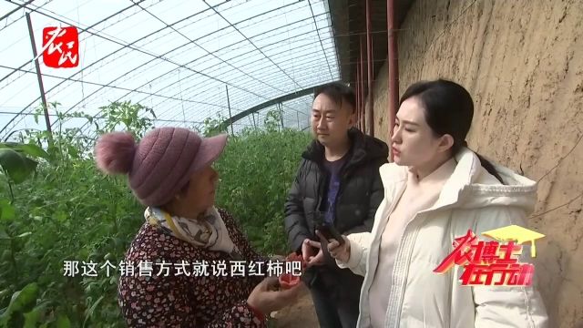 科技助农 | 一起来学习学习西红柿的销售方式