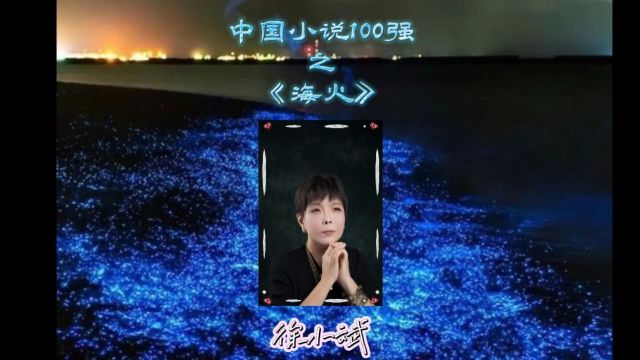 中国小说100强之《海火》徐小斌(下半部分)