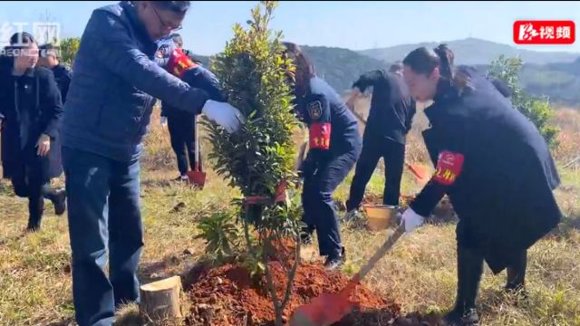 郴州高速:党建聚力添“新绿” 警路联建护“畅安”