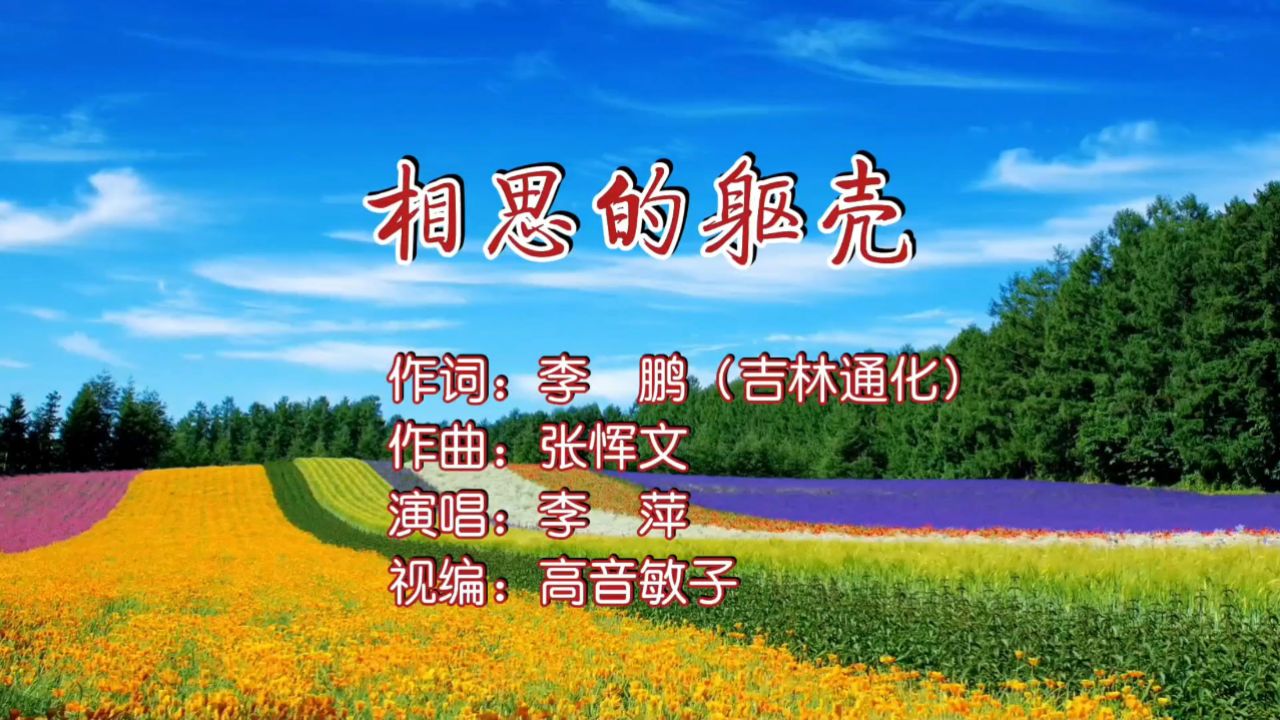 李萍 - 相思的躯壳(ktv版)