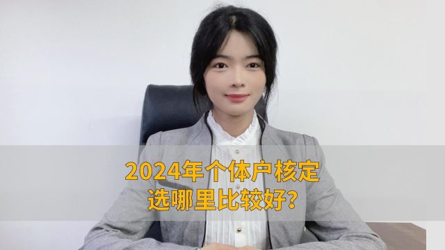 2024年个体户核定选哪里比较好?