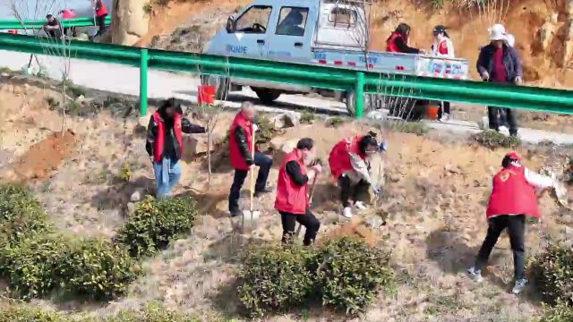 宣城旌德:植树造林“扮靓”艺术乡村