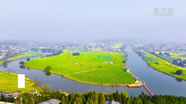 新华全媒+|重庆潼南“油菜花经济”丰富农村经济业态