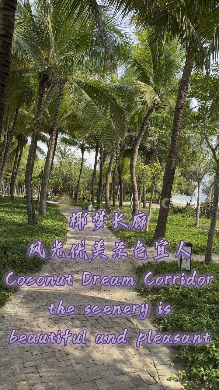 椰梦长廊风光优美景色宜人 #阿洋 coconut dream corridor the