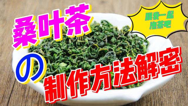 茶文化之桑叶茶到底是怎么制作方法的呢?