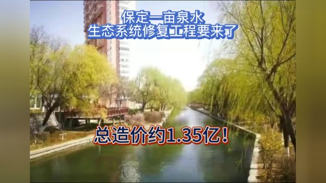 保定一亩泉水生态系统修复工程要来了,总造价约1.35亿!