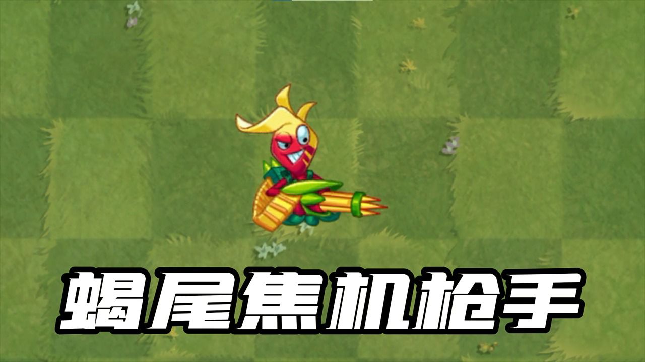 植物大战僵尸:新植物蝎尾焦机枪手!防老六僵的一把好手?