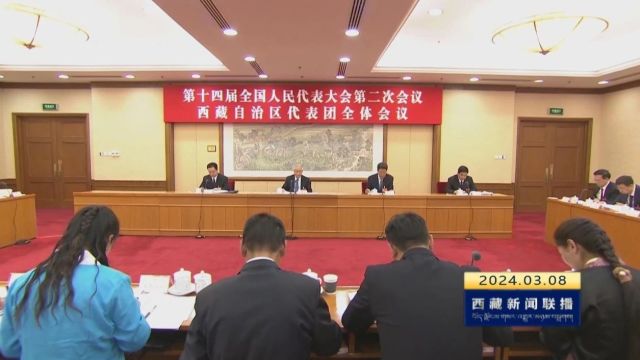 西藏代表团审议全国人大常委会工作报告 张国清洛桑江村王君正讲话