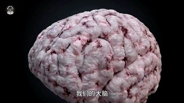 原来人类的颅骨其实并不是一个整体,看完你就明白了!