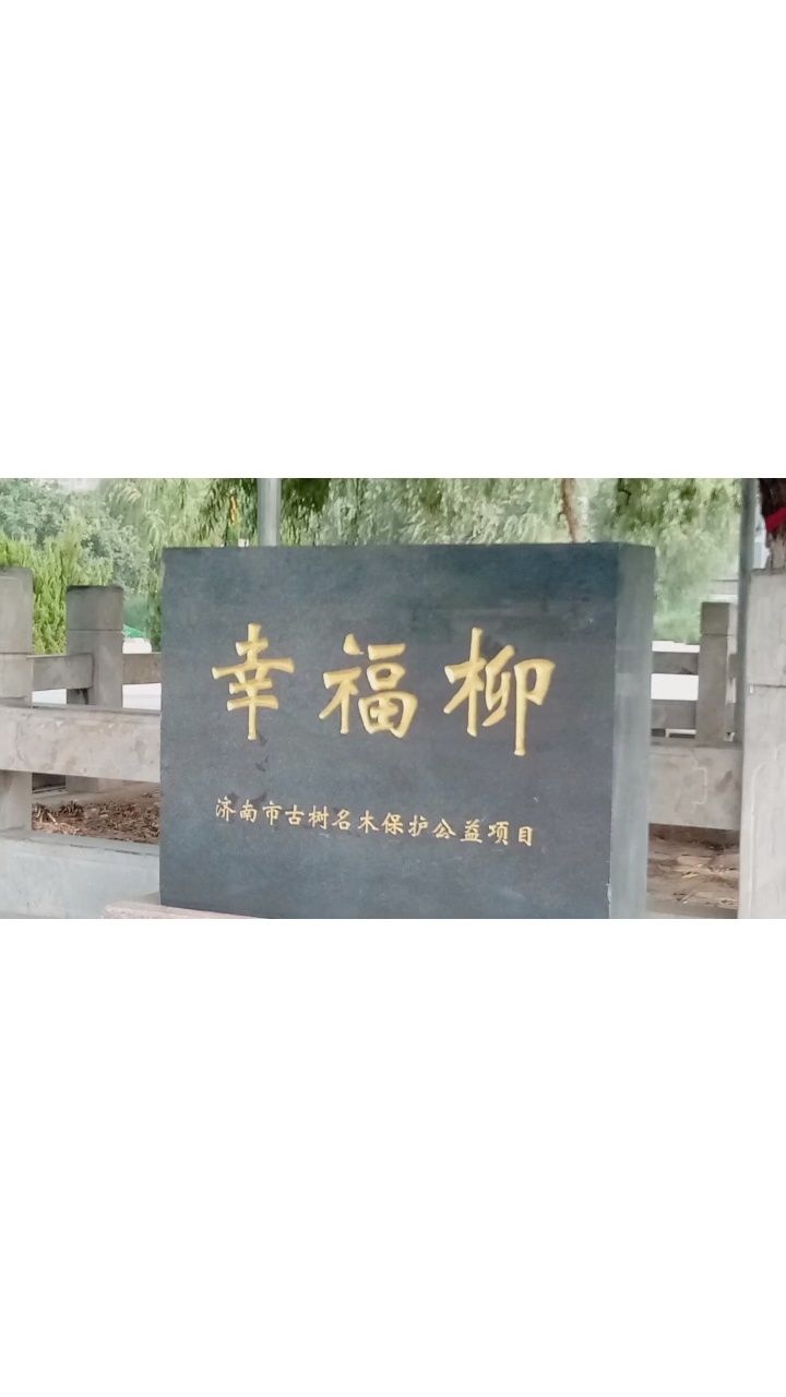 济南幸福柳广场