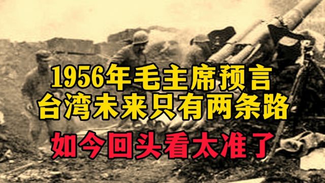 1956年毛主席预言:台湾未来只有两条路,如今回头来看太准了