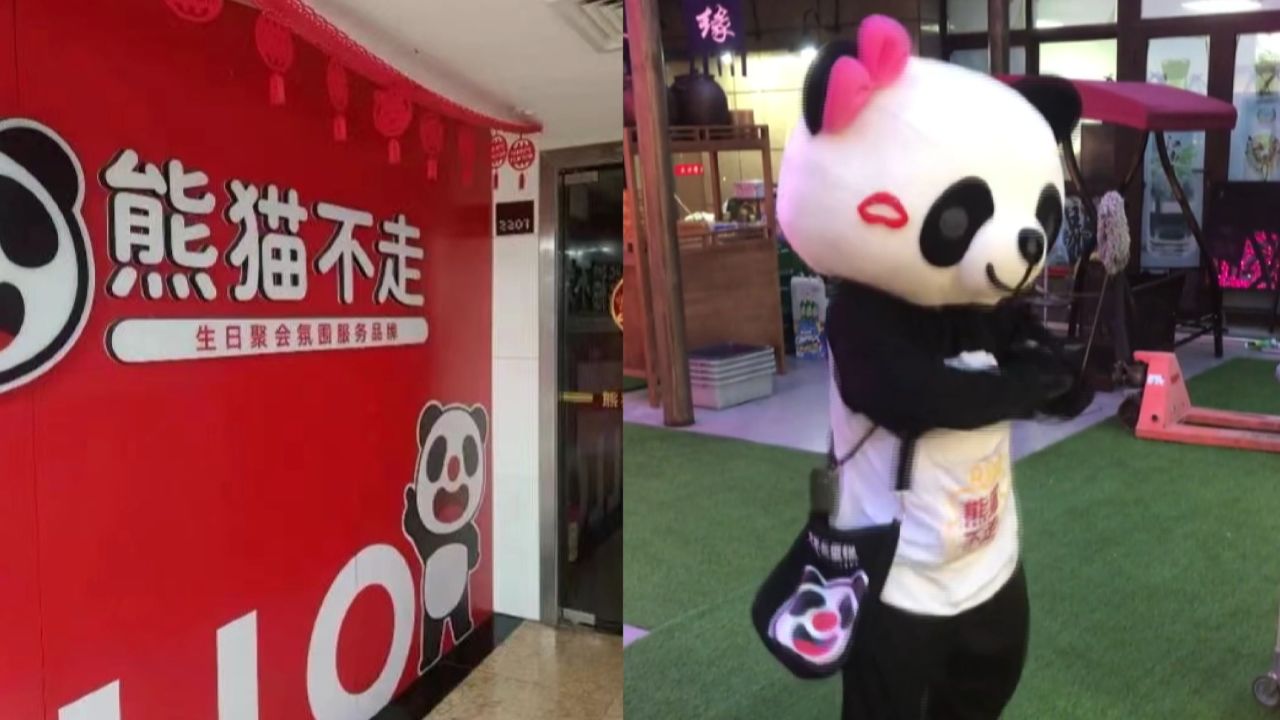 熊猫不走logo图片